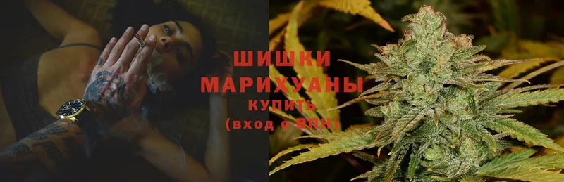 что такое   Ногинск  Канабис Amnesia 